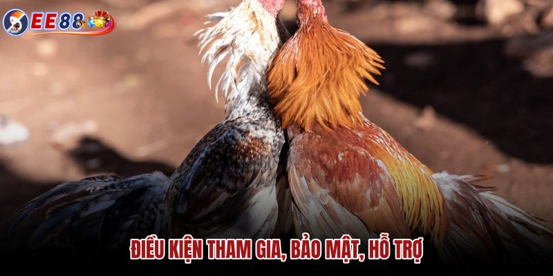 dieu-kien-tham-gia-bao-mat-ho-tro