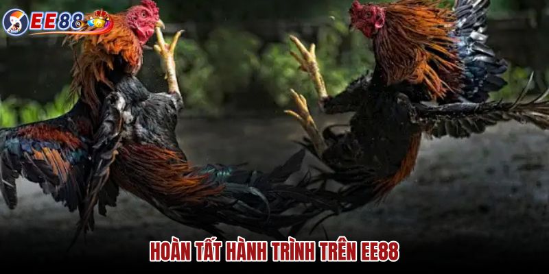 hoan-tat-hanh-trinh-tren-ee88