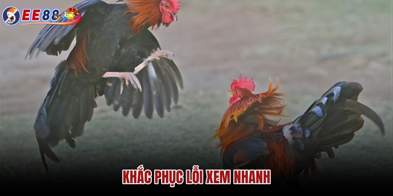 khac-phuc-loi-xem-nhanh