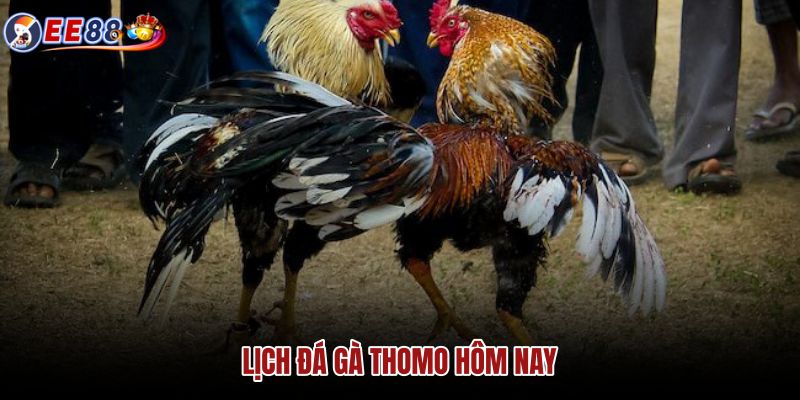 lich-da-ga-thomo-hom-nay