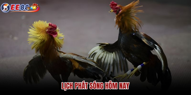 lich-phat-song-hom-nay