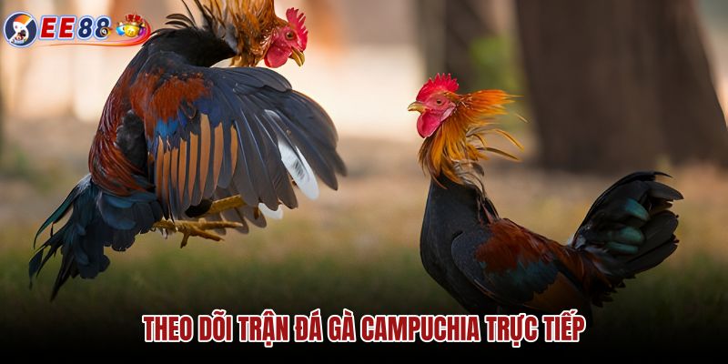 theo-doi-tran-da-ga-campuchia-truc-tiep