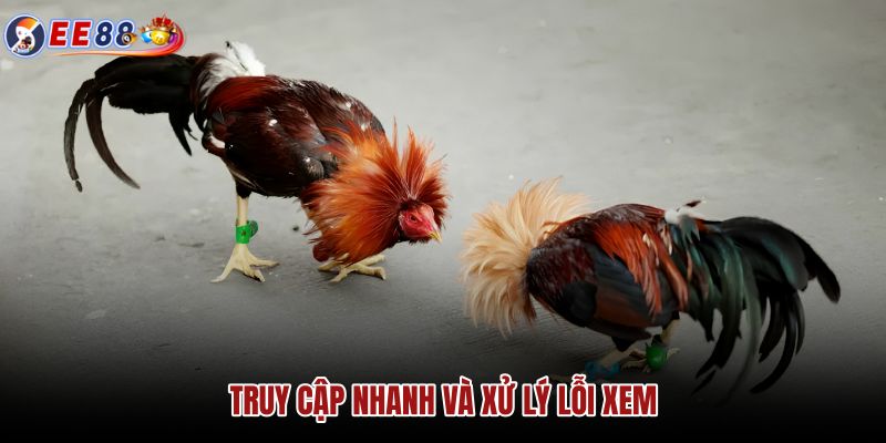 truy-cap-nhanh-va-xu-ly-loi-xem